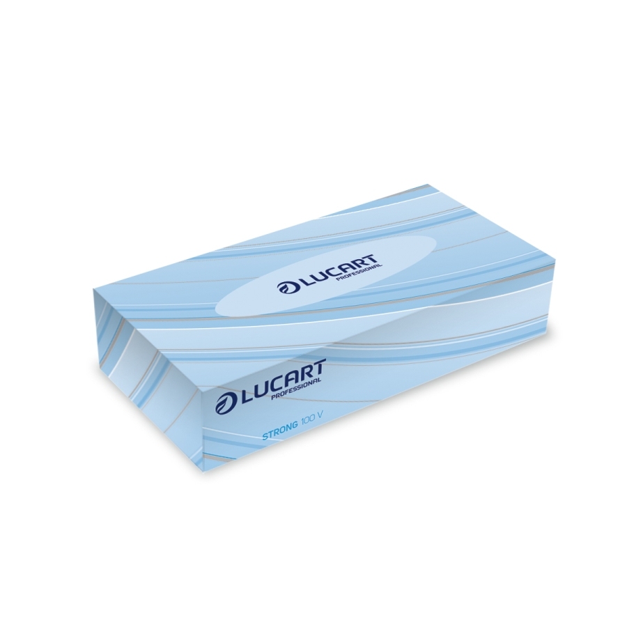 Fazzoletti veline in box Lucart Strong 2 veli in pura cellulosa 21 x 20 cm